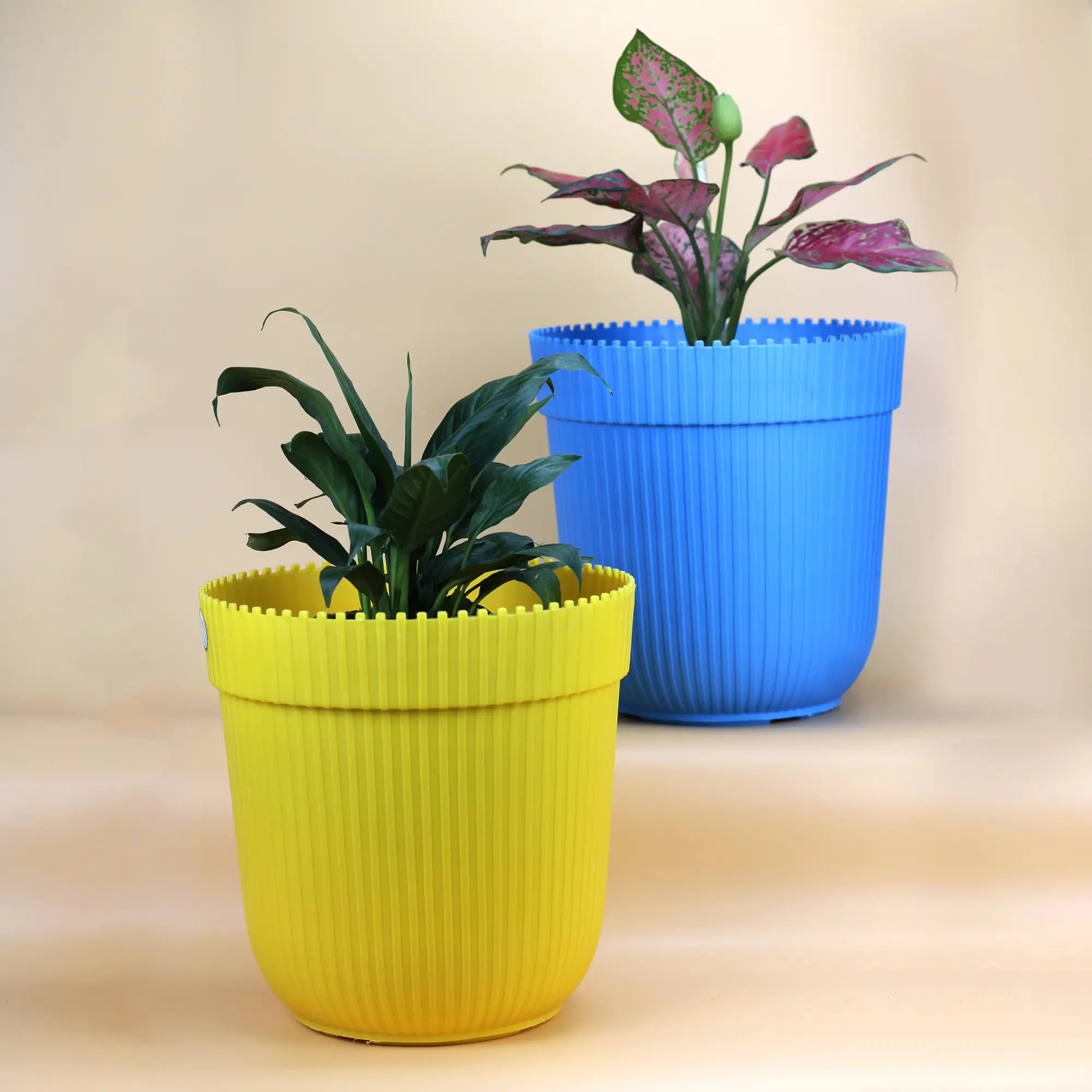 FLAVER POTS